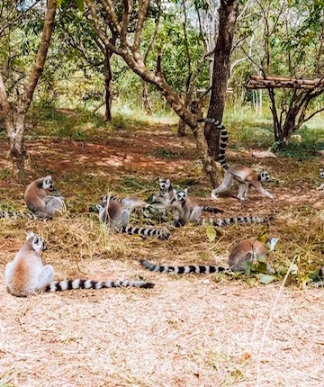 Antananarivo