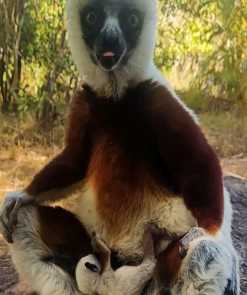 Antananarivo