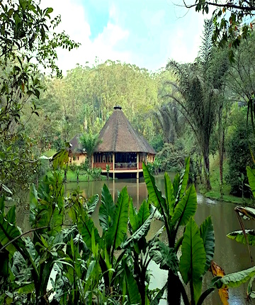 vakona